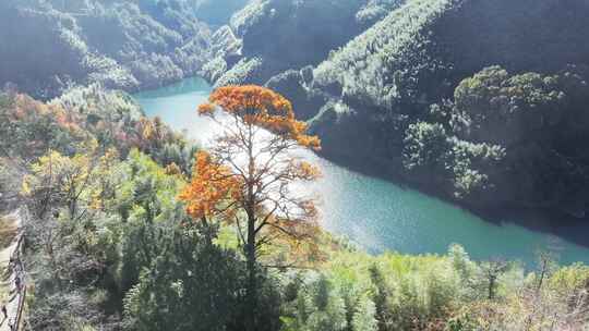 四明山秋天秋景秋色 茅镬公园