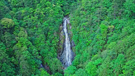 森林公园山涧瀑布大景前进视频素材模板下载