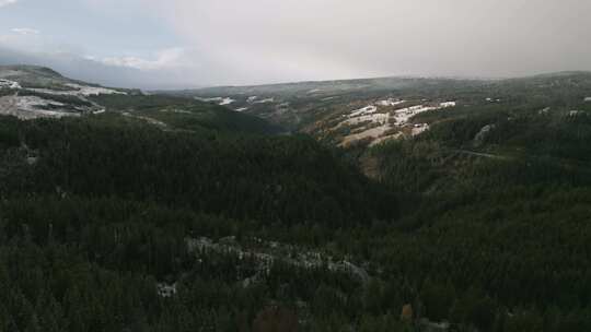 郁郁葱葱的绿色山谷，成片的积雪，挪威的鸟