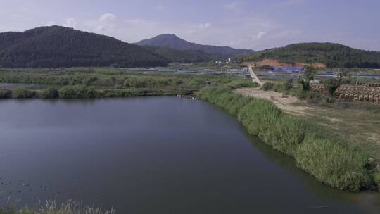 渔场 养殖鱼 生态鱼养殖基地