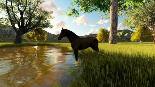 一匹马从湖里喝水的动画