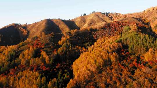 无人机，阿拉木图，哈萨克斯坦，山