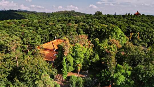 云南昆明金殿风景区 寺庙 深山古寺