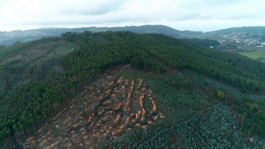 森林破坏环境保护气候变化