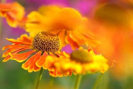 光影节火 昂扬 合唱 片头 短剧 综艺