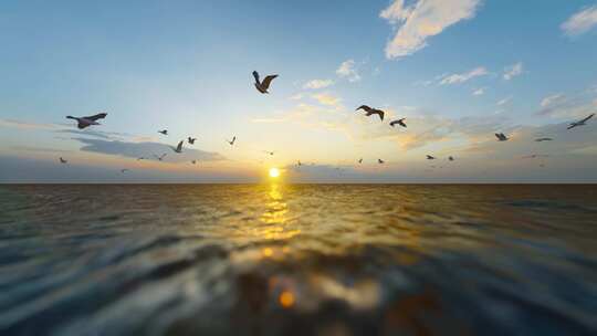 夕阳下的大海海面上海鸥飞舞