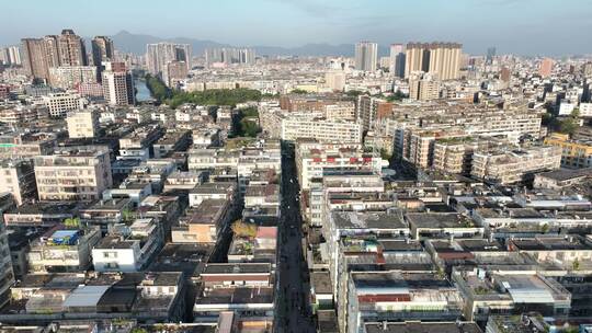 城市上空鸽子飞鸟航拍鸟群城市飞翔一群鸽子视频素材模板下载