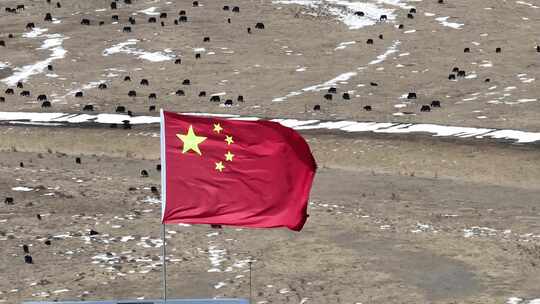 西藏雪景牦牛  国旗 航拍 4K