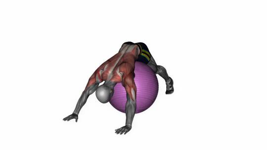 3D健身球人体下背部俯卧拉伸健身演示
