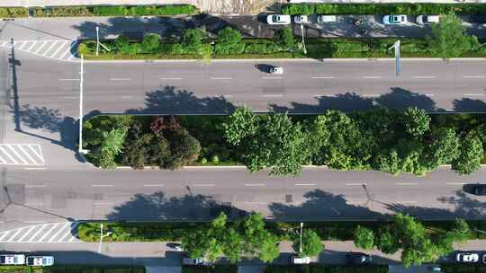 合集城市大道绿化植物车辆行驶航拍