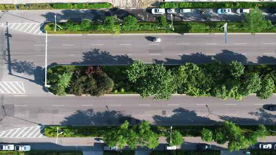 合集城市大道绿化植物车辆行驶航拍视频素材模板下载