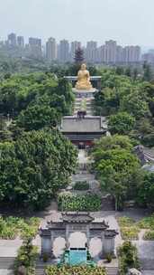 竖屏航拍重庆华岩旅游风景区华岩寺