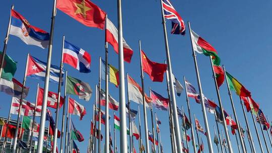 国际会议旗帜飘扬视频素材模板下载