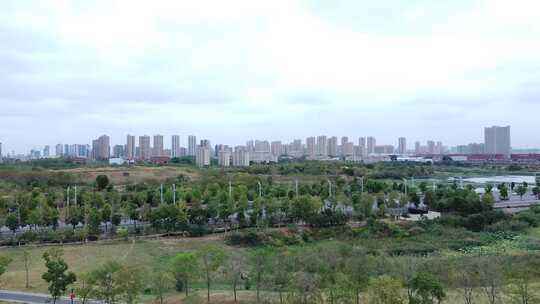 武汉江夏区黄家湖湿地公园航拍