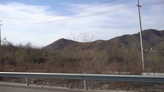 旅行 沿途 风景 公路 树