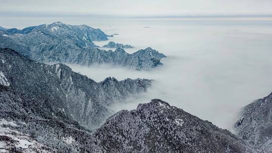 航拍湖北神农架冬季雪景白天云海雪松大自然视频素材模板下载