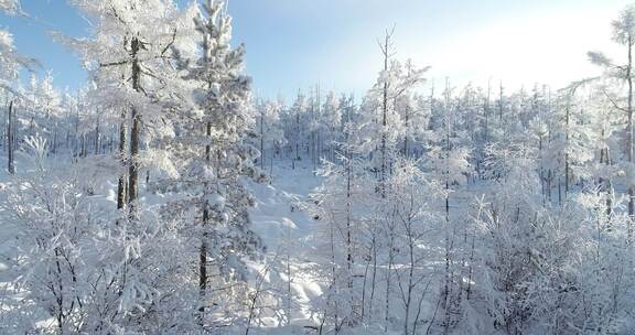 内蒙古大兴安岭冰雪雾凇、雪凇