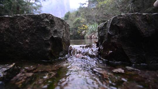 神仙居景区游客打卡2