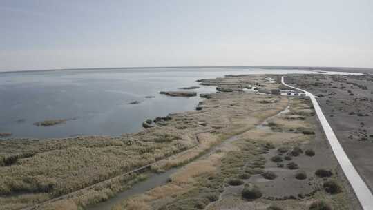 航拍内蒙古阿拉善盟额济纳旗居延海秋季风光