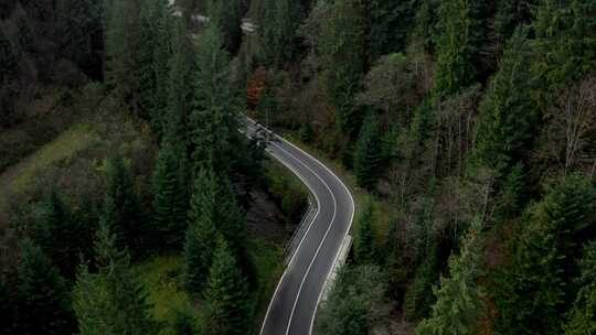 航拍森林公路风景自驾游人生道路人生方向