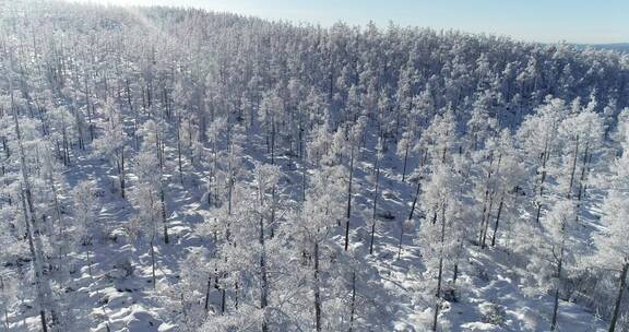 零下40多度的低温航拍大兴安岭冰雪雾凇