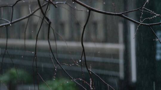 春天春雨下雨滴绿皮火车升格空镜