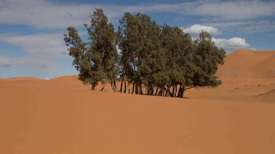 erg chebbi沙丘沙撒哈拉沙漠摩洛哥merzouga