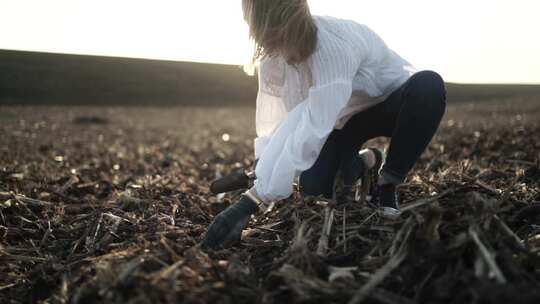 农妇检查她的田地。农业女孩检查种子是如何