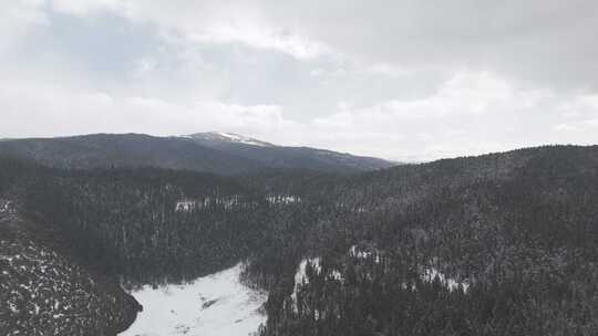 「有版权」航拍普达措国家公园雪景4K-6