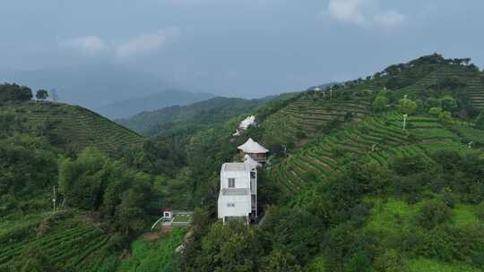 平阳茶山