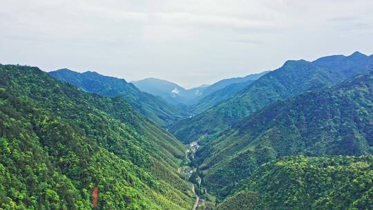 武夷山森林公园山涧山脉航拍前进上升