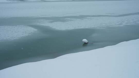 冬季雪中湖景