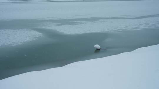 冬季雪中湖景视频素材模板下载