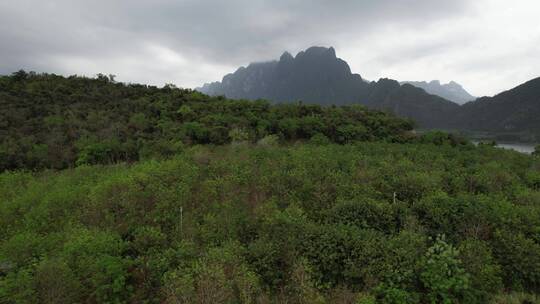 山林上升见山脉