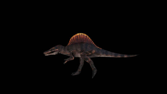 恐龙史前巨兽视频素材模板下载
