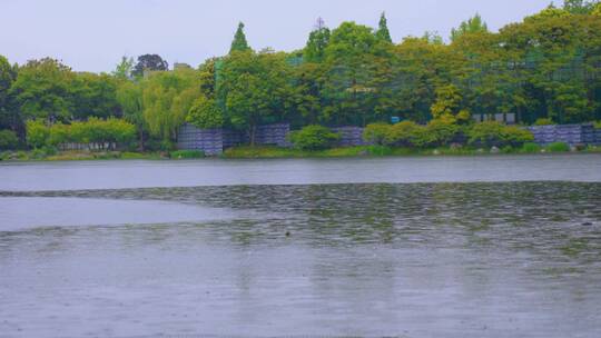 雨天游打伞公园