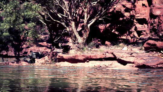 红砂岩和河流景观
