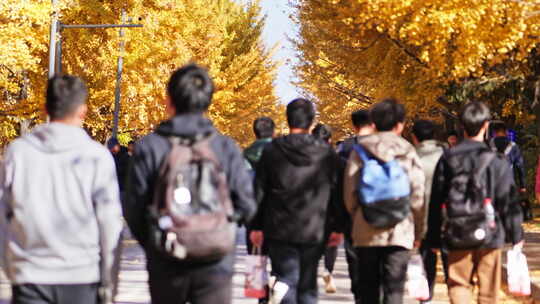 一群大学生在校园行走上课下课背影