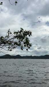 湖景山水岸边树叶拂动