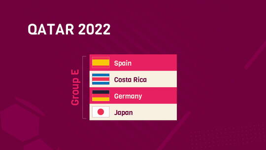 卡塔尔足球世界杯2022E组对战旗帜