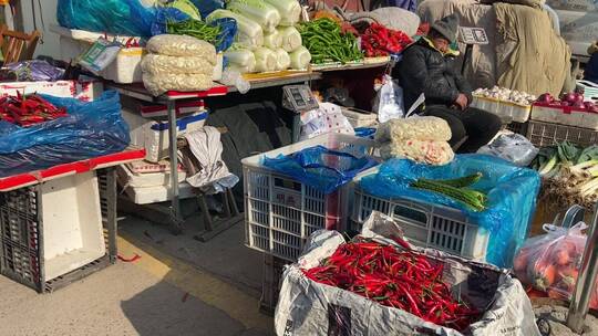 济南七里堡蔬菜批发市场，蔬菜批发