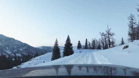 冬季喀纳斯湖雪山脚下汽车在积雪路面上行驶