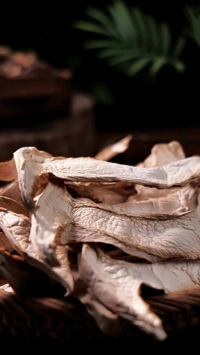 白松茸 干白松茸