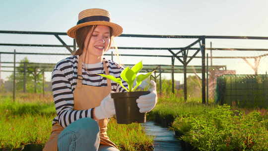 快乐的女农民园丁照顾玉米花植物