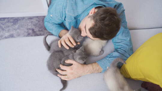 可爱的小猫。拥抱可爱小猫的男人。