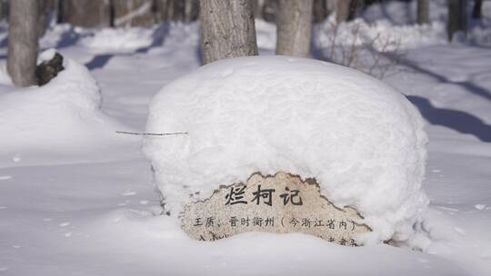 阿勒泰桦林公园雪景