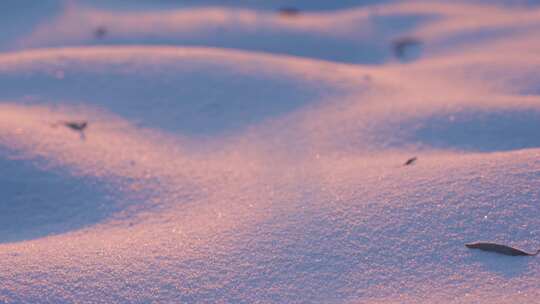 冬天唯美雪地特写