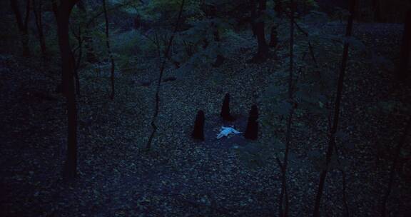 在恐怖昏暗的森林里三个女人围绕尸体走