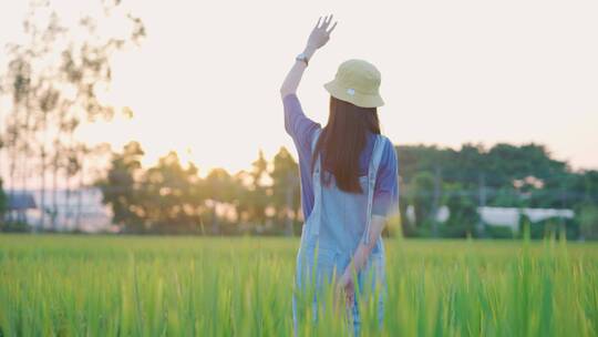 稻田里的女孩朝着夕阳挥手背影4k视频素材视频素材模板下载