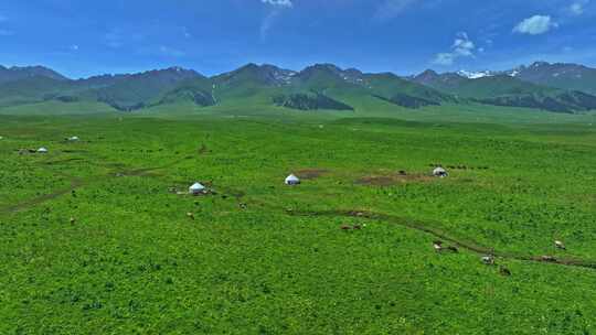 新疆那拉提草原游牧人家HDR航拍